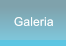 Galeria Galeria