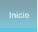 Inicio Inicio